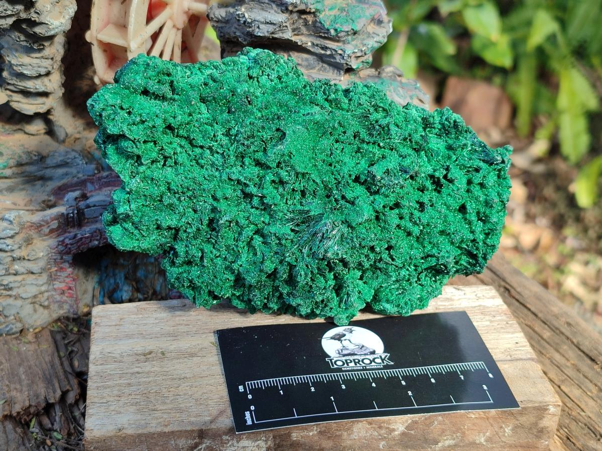 Natural Silky Malachite Specimens x 2 From Kasompe, Congo - Toprock Gemstones and Minerals 