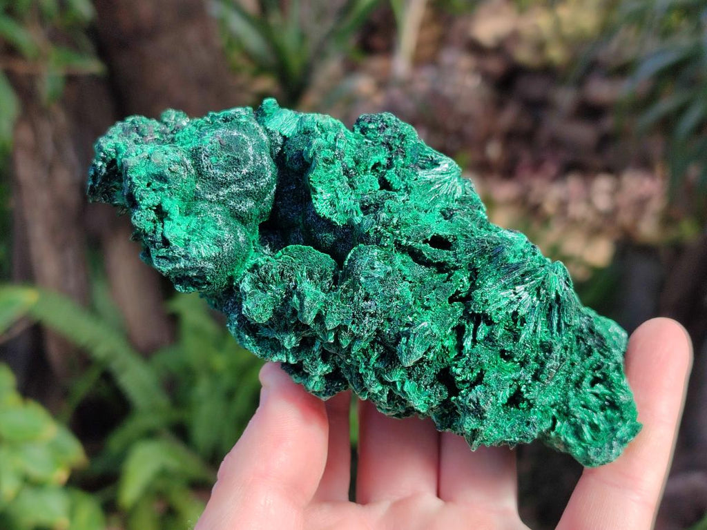 Natural Silky Malachite Specimens x 2 From Kasompe, Congo - Toprock Gemstones and Minerals 