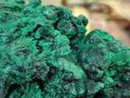 Natural Silky Malachite Specimens x 2 From Kasompe, Congo - Toprock Gemstones and Minerals 