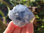 Natural Mini Blue Celestite Specimens x 50 From Sakoany, Madagascar - Toprock Gemstones and Minerals 