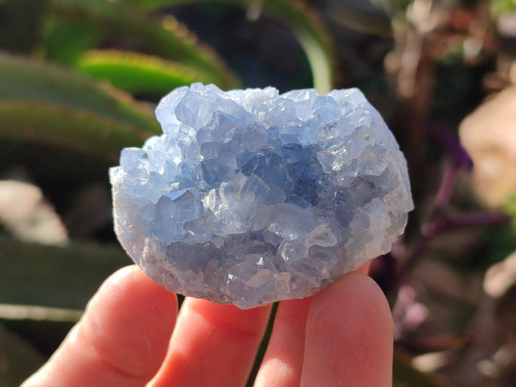 Natural Mini Blue Celestite Specimens x 50 From Sakoany, Madagascar - Toprock Gemstones and Minerals 