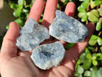 Natural Mini Blue Celestite Specimens x 50 From Sakoany, Madagascar - Toprock Gemstones and Minerals 