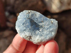 Natural Mini Blue Celestite Specimens x 50 From Sakoany, Madagascar - Toprock Gemstones and Minerals 