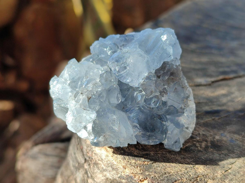 Natural Mini Blue Celestite Specimens x 50 From Sakoany, Madagascar - Toprock Gemstones and Minerals 