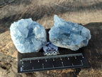 Natural Mini Blue Celestite Specimens x 50 From Sakoany, Madagascar - Toprock Gemstones and Minerals 