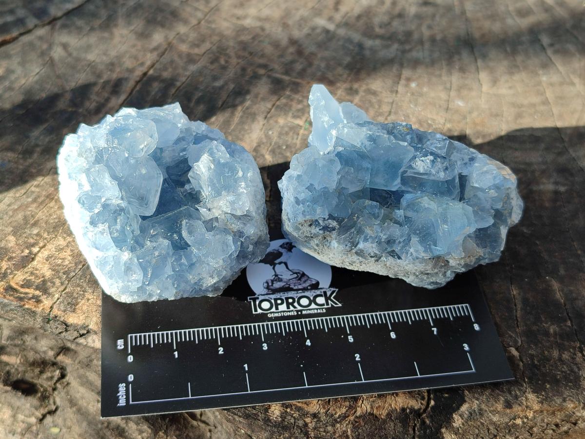 Natural Mini Blue Celestite Specimens x 50 From Sakoany, Madagascar - Toprock Gemstones and Minerals 