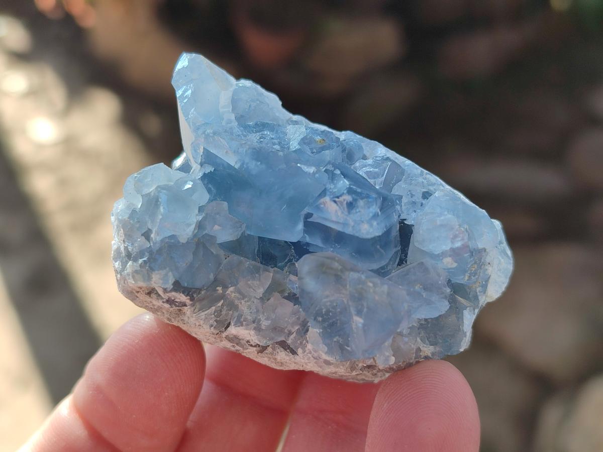 Natural Mini Blue Celestite Specimens x 50 From Sakoany, Madagascar - Toprock Gemstones and Minerals 