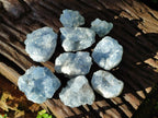 Natural Mini Blue Celestite Specimens x 50 From Sakoany, Madagascar - Toprock Gemstones and Minerals 
