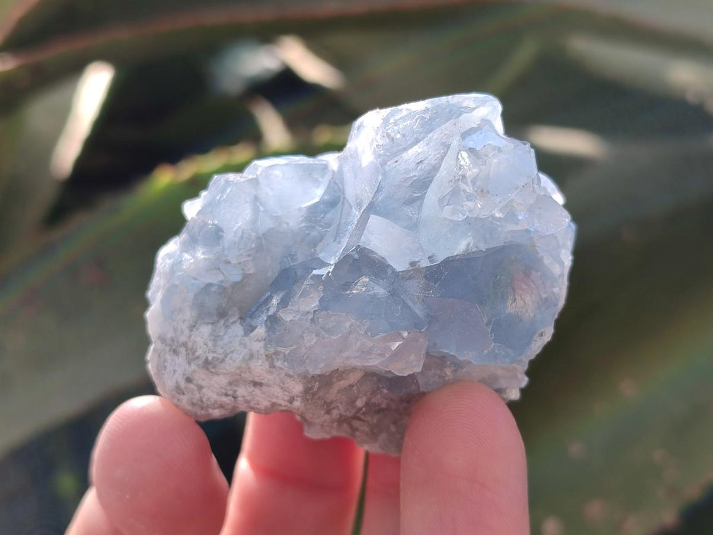 Natural Mini Blue Celestite Specimens x 50 From Sakoany, Madagascar - Toprock Gemstones and Minerals 