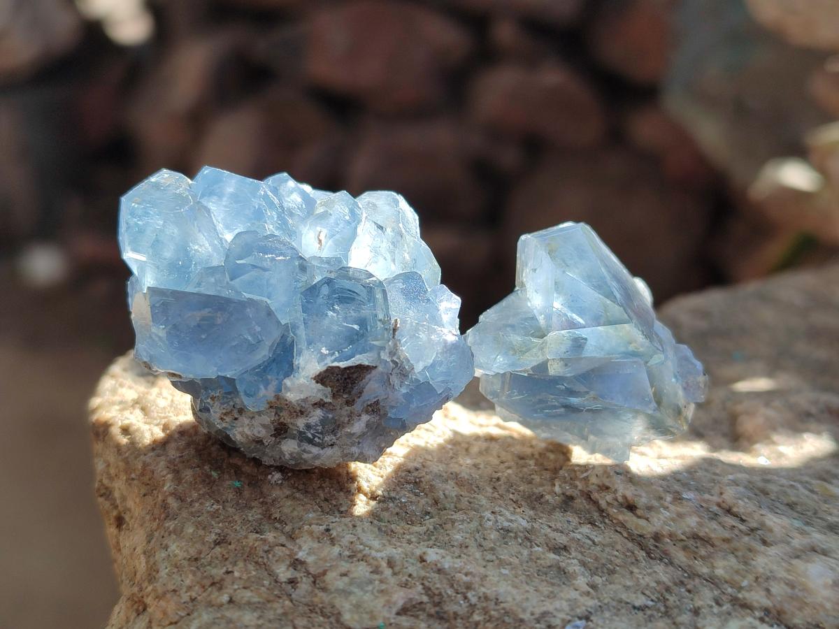 Natural Mini Blue Celestite Specimens x 50 From Sakoany, Madagascar - Toprock Gemstones and Minerals 
