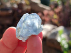 Natural Mini Blue Celestite Specimens x 50 From Sakoany, Madagascar - Toprock Gemstones and Minerals 