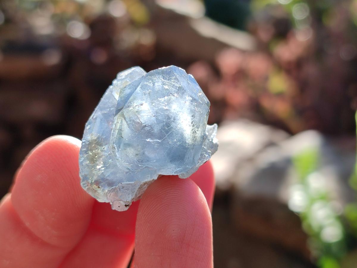 Natural Mini Blue Celestite Specimens x 50 From Sakoany, Madagascar - Toprock Gemstones and Minerals 