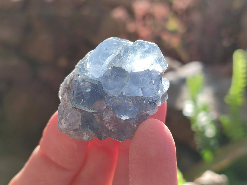 Natural Mini Blue Celestite Specimens x 50 From Sakoany, Madagascar - Toprock Gemstones and Minerals 