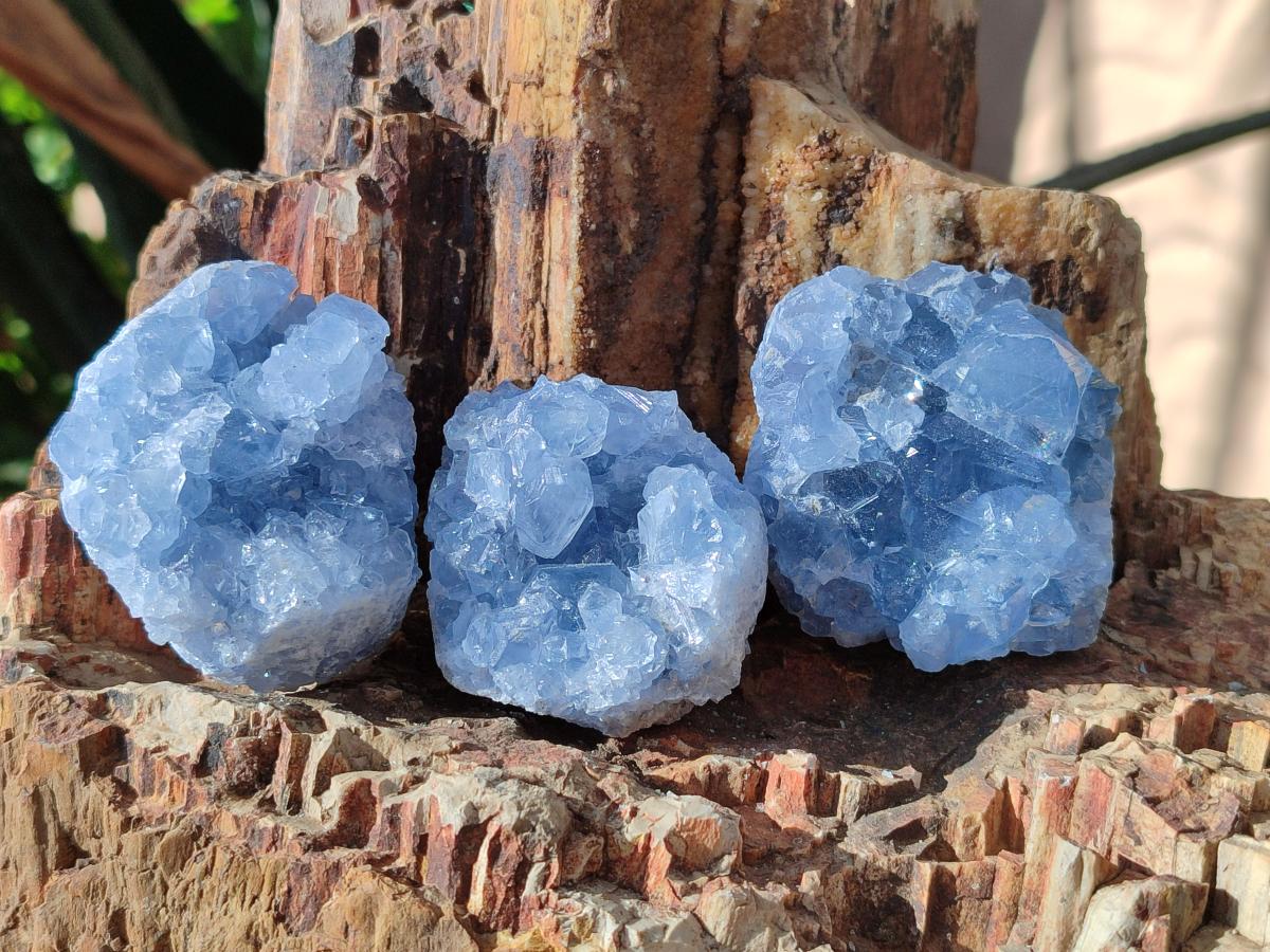 Natural Mini Blue Celestite Specimens x 50 From Sakoany, Madagascar - Toprock Gemstones and Minerals 