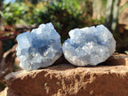 Natural Mini Blue Celestite Specimens x 50 From Sakoany, Madagascar - Toprock Gemstones and Minerals 