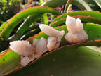 Natural White Spirit Quartz Crystals and Clusters x 35 From Boekenhouthoek, South Africa - Toprock Gemstones and Minerals 