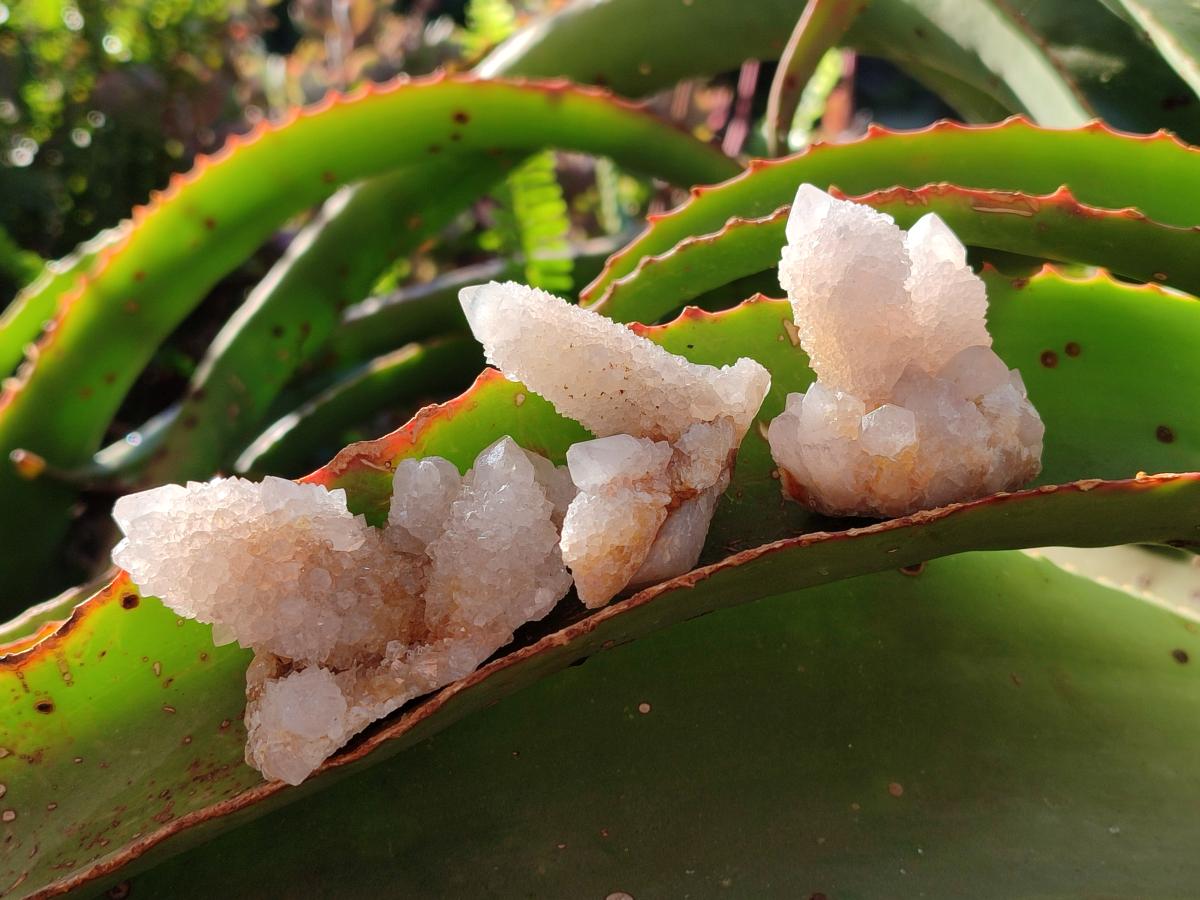 Natural White Spirit Quartz Crystals and Clusters x 35 From Boekenhouthoek, South Africa - Toprock Gemstones and Minerals 