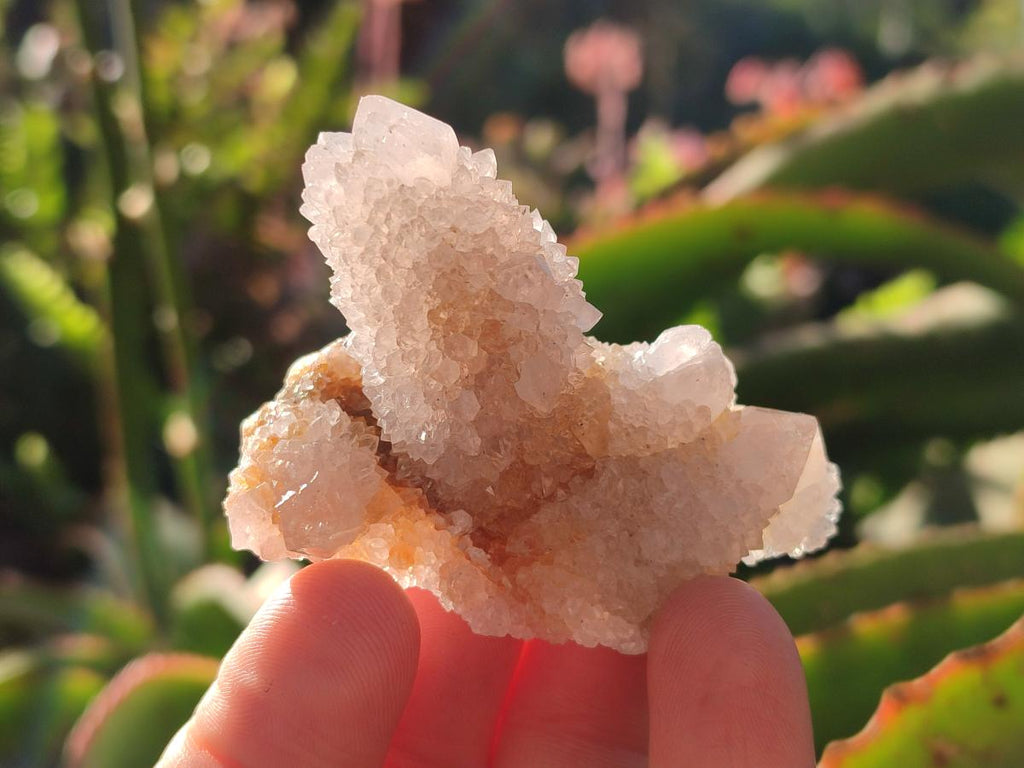 Natural White Spirit Quartz Crystals and Clusters x 35 From Boekenhouthoek, South Africa - Toprock Gemstones and Minerals 