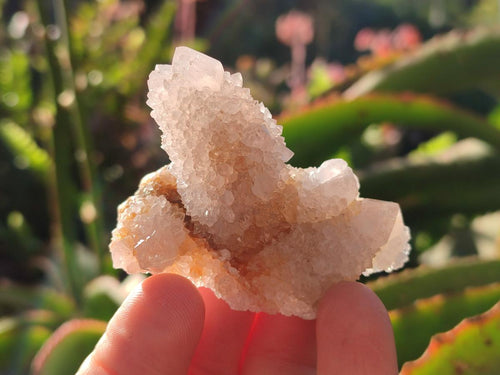 Natural White Spirit Quartz Crystals and Clusters x 35 From Boekenhouthoek, South Africa - Toprock Gemstones and Minerals 