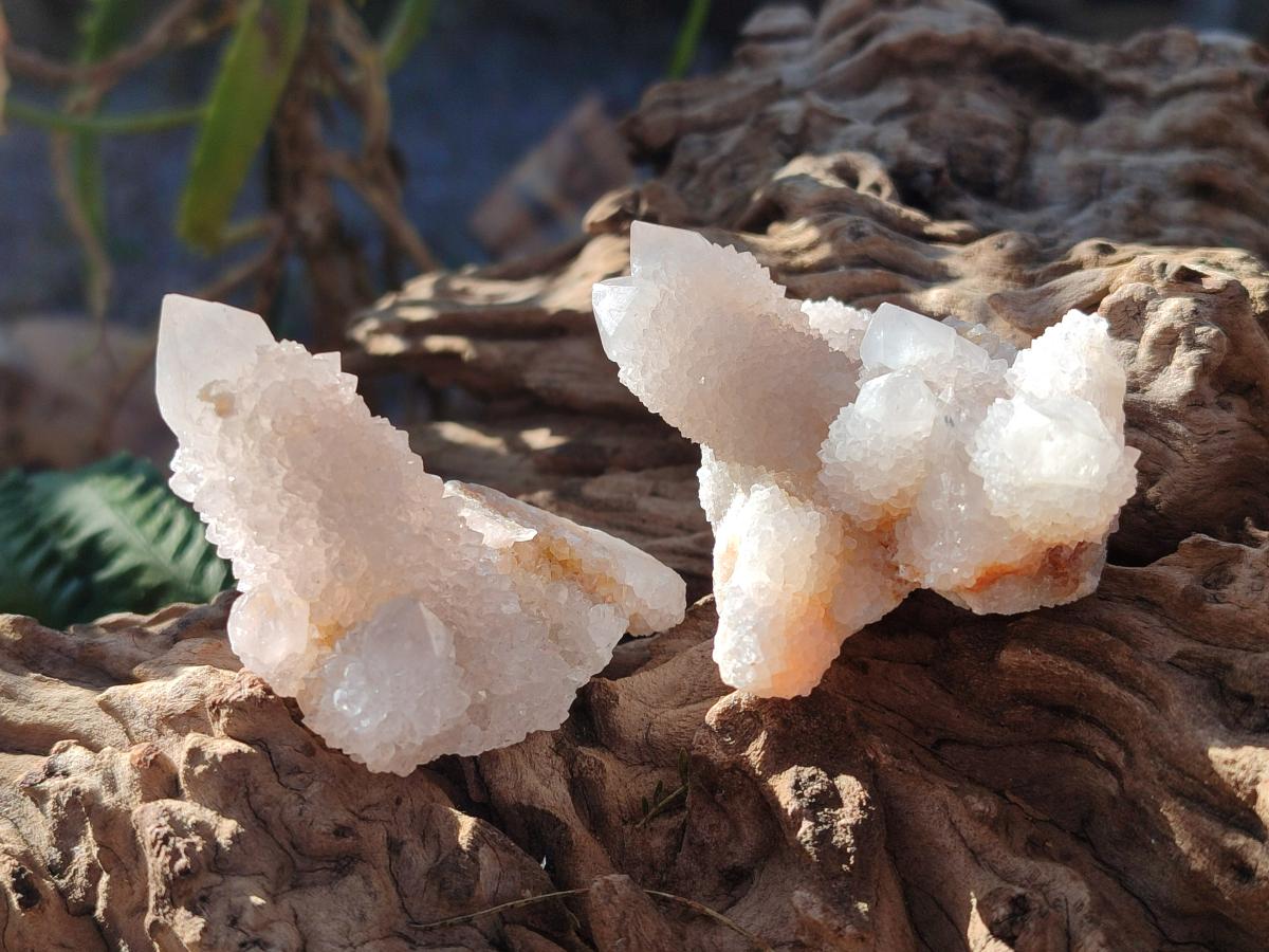 Natural White Spirit Quartz Crystals and Clusters x 35 From Boekenhouthoek, South Africa - Toprock Gemstones and Minerals 