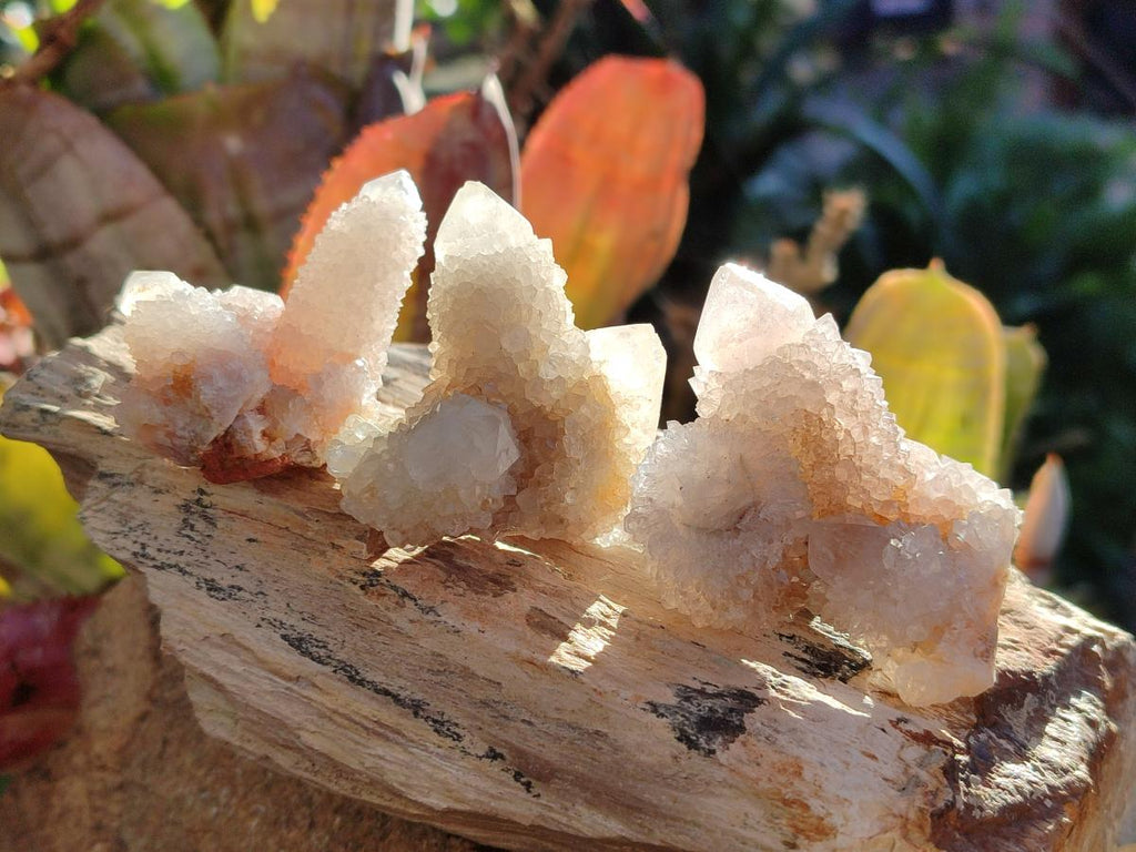 Natural White Spirit Quartz Crystals and Clusters x 35 From Boekenhouthoek, South Africa - Toprock Gemstones and Minerals 