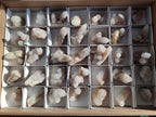 Natural White Spirit Quartz Crystals and Clusters x 35 From Boekenhouthoek, South Africa - Toprock Gemstones and Minerals 