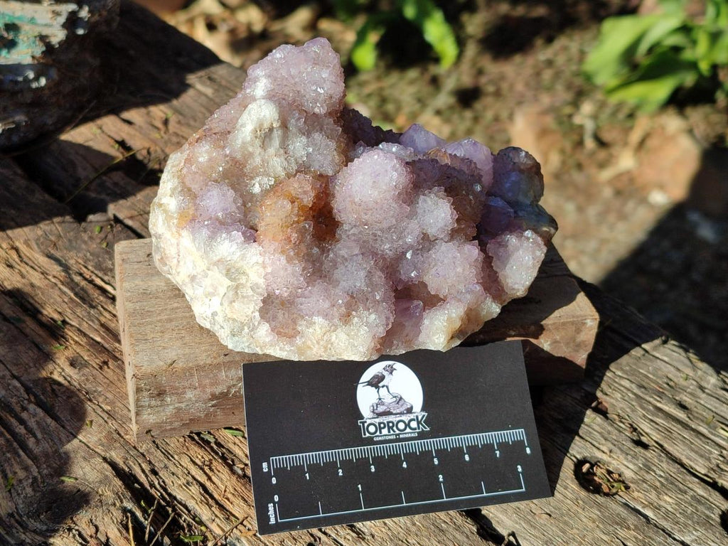Natural Spirit Amethyst Clusters x 2 From Boekenhouthoek, South Africa - Toprock Gemstones and Minerals 