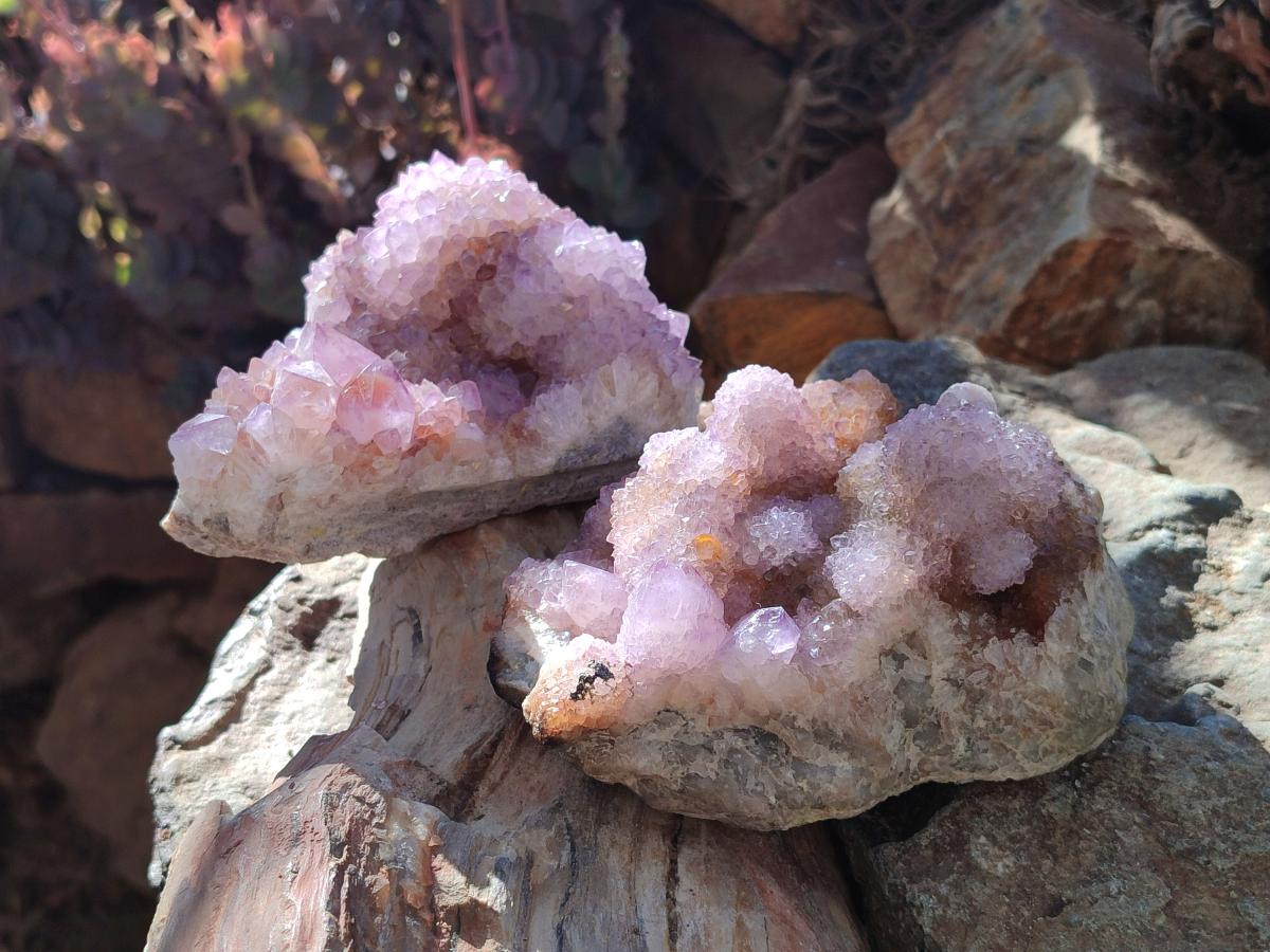 Natural Spirit Amethyst Clusters x 2 From Boekenhouthoek, South Africa - Toprock Gemstones and Minerals 