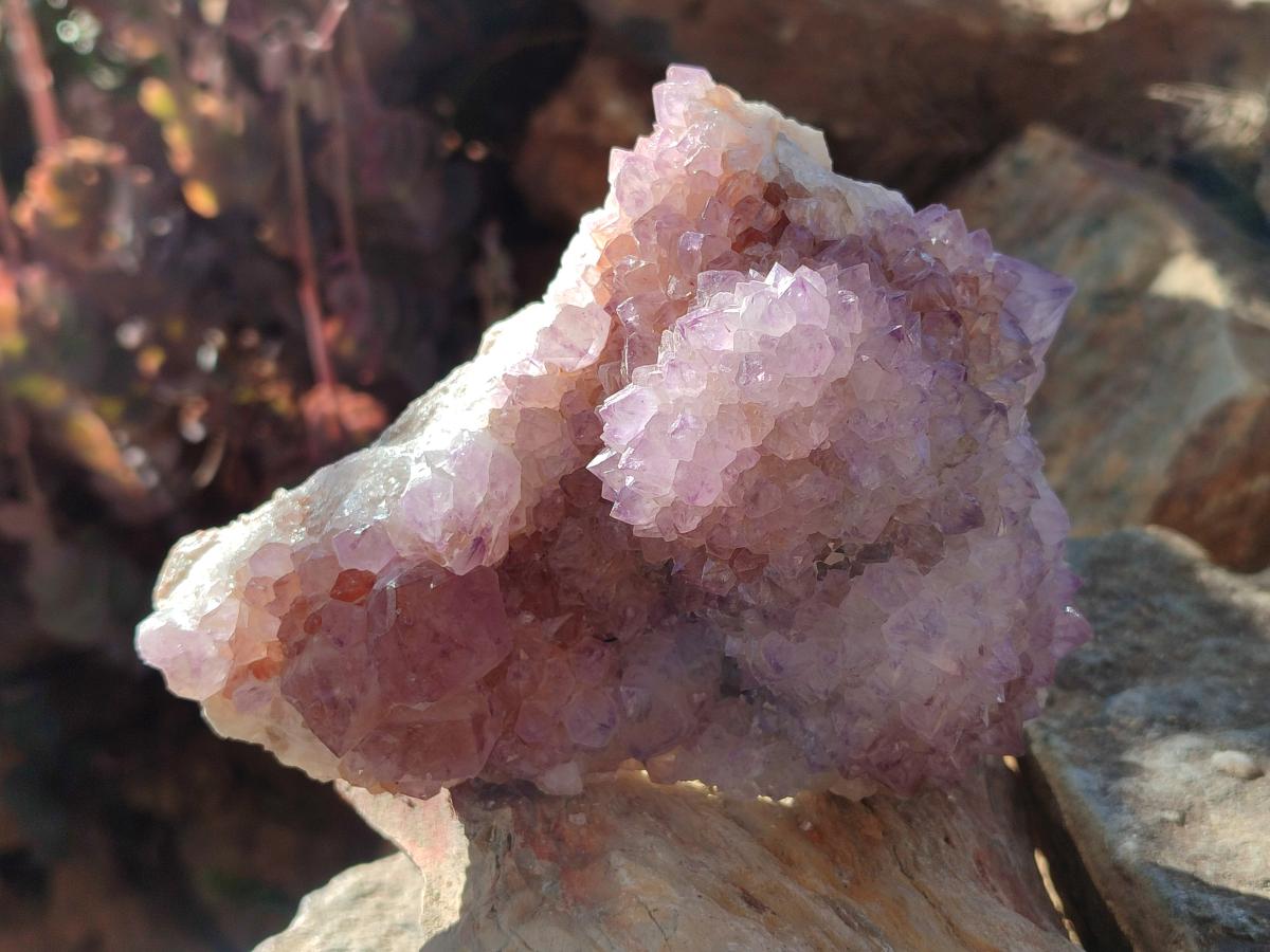 Natural Spirit Amethyst Clusters x 2 From Boekenhouthoek, South Africa - Toprock Gemstones and Minerals 