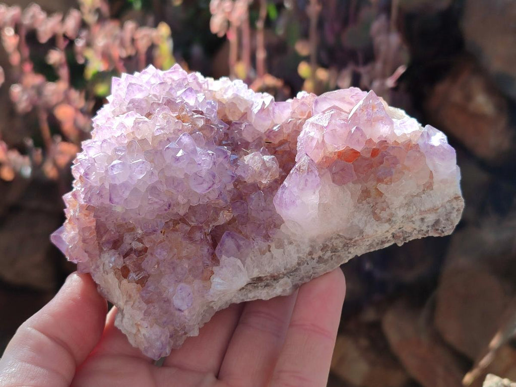 Natural Spirit Amethyst Clusters x 2 From Boekenhouthoek, South Africa - Toprock Gemstones and Minerals 