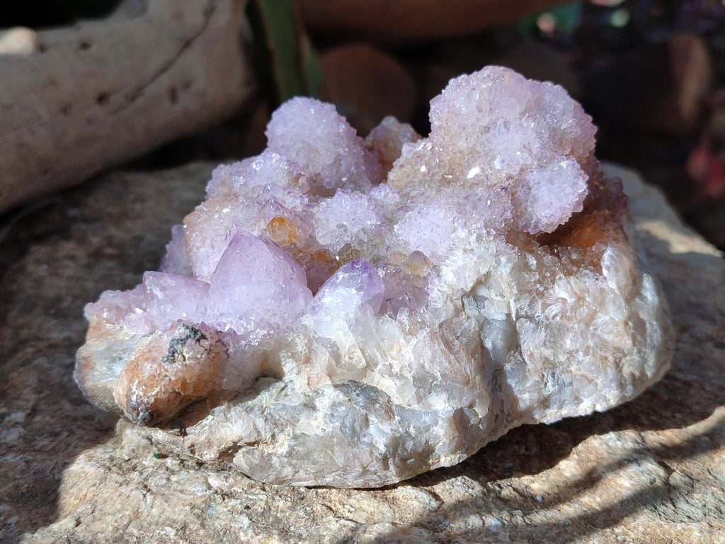 Natural Spirit Amethyst Clusters x 2 From Boekenhouthoek, South Africa - Toprock Gemstones and Minerals 