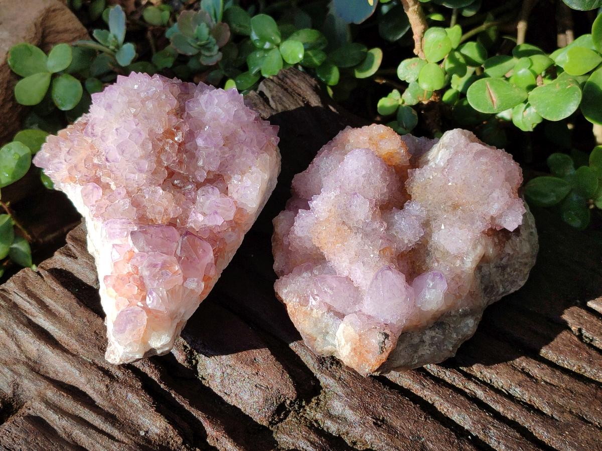 Natural Spirit Amethyst Clusters x 2 From Boekenhouthoek, South Africa - Toprock Gemstones and Minerals 
