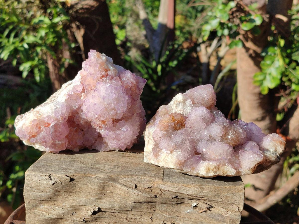 Natural Spirit Amethyst Clusters x 2 From Boekenhouthoek, South Africa - Toprock Gemstones and Minerals 
