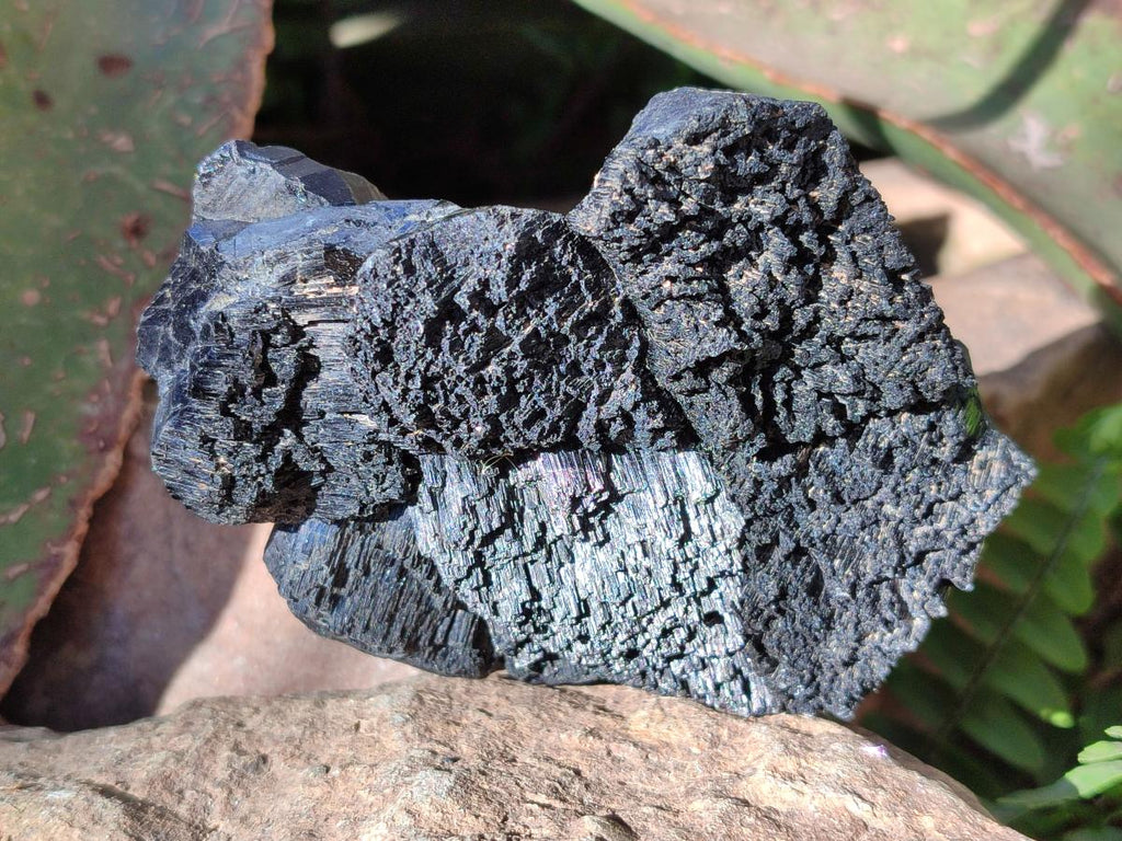 Natural Schorl Black Tourmaline Specimens x 3 From Erongo, Namibia - Toprock Gemstones and Minerals 