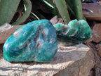 Polished One Side Mtorolite Chrysoprase Slices x 2 From Mutorashanga, Zimbabwe - Toprock Gemstones and Minerals 