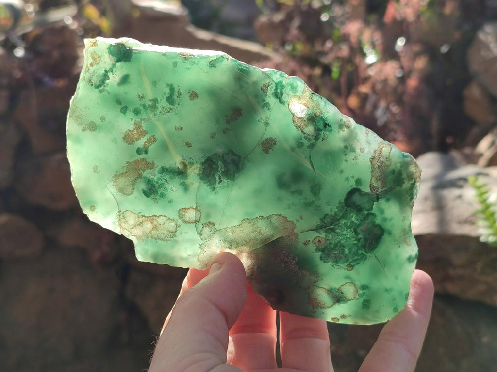 Polished One Side Mtorolite Chrysoprase Slices x 2 From Mutorashanga, Zimbabwe - Toprock Gemstones and Minerals 