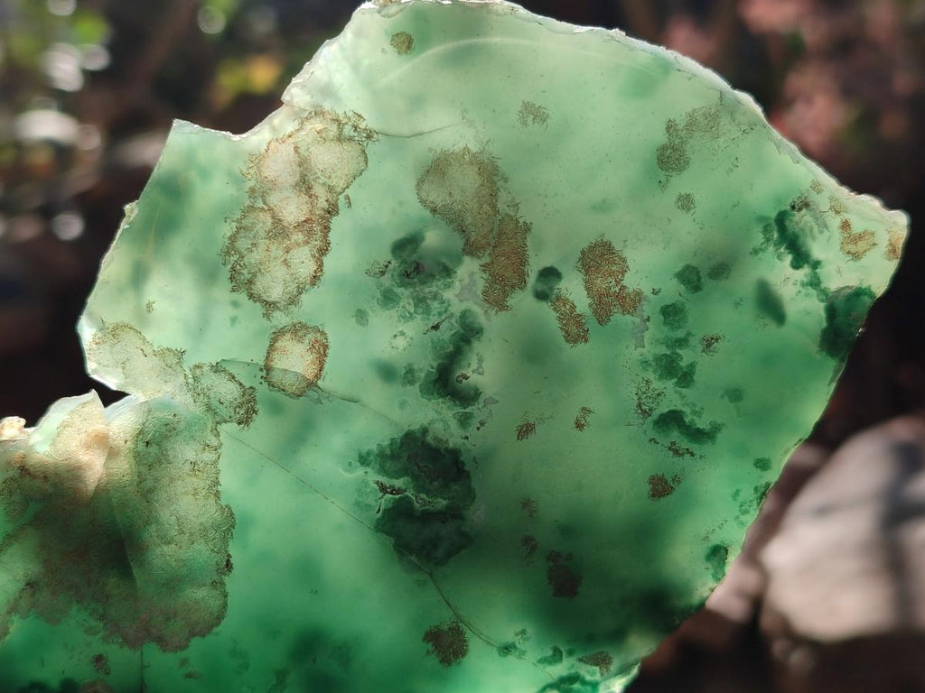 Polished One Side Mtorolite Chrysoprase Slices x 2 From Mutorashanga, Zimbabwe - Toprock Gemstones and Minerals 