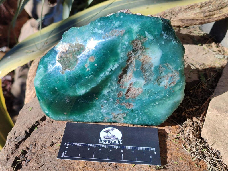 Polished One Side Mtorolite Chrysoprase Slices x 2 From Mutorashanga, Zimbabwe - Toprock Gemstones and Minerals 