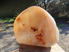 Polished and Natural Large Banded Agate Standing Display Piece x 1 From Madagascar - Toprock Gemstones and Minerals 
