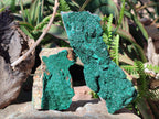 Natural Crystalline Malachite Specimens x 2 From Tenke Fungurume, Congo - Toprock Gemstones and Minerals 