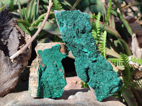 Natural Crystalline Malachite Specimens x 2 From Tenke Fungurume, Congo - Toprock Gemstones and Minerals 