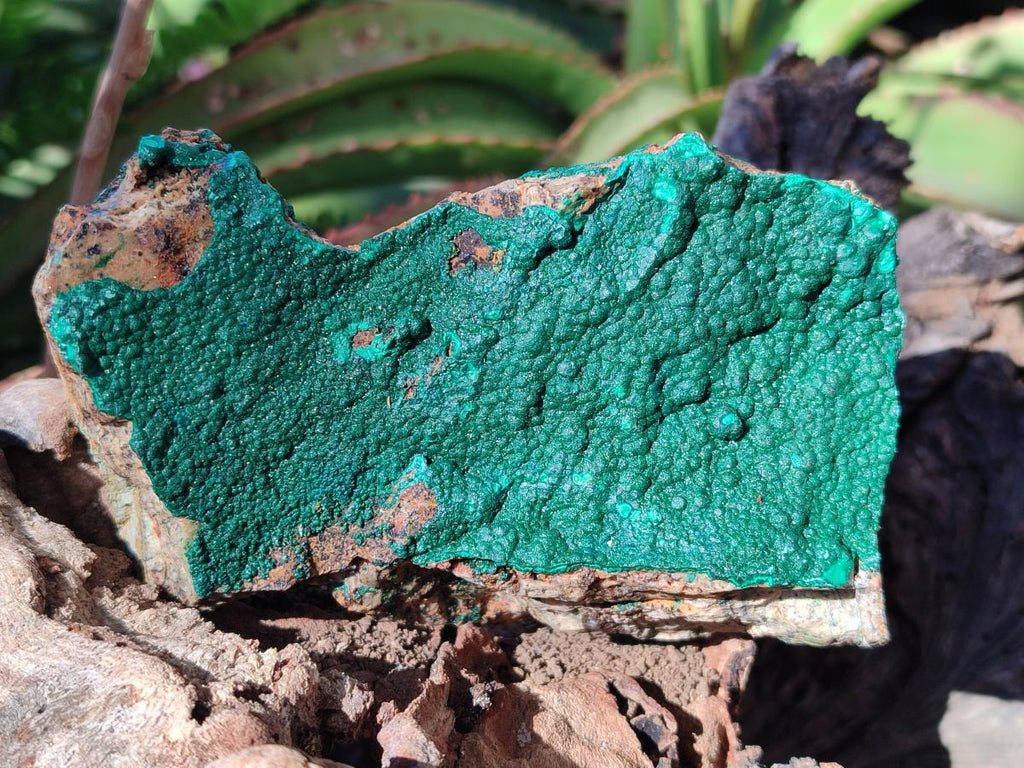 Natural Crystalline Malachite Specimens x 2 From Tenke Fungurume, Congo - Toprock Gemstones and Minerals 