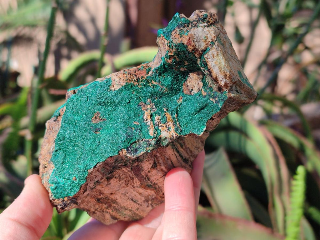 Natural Crystalline Malachite Specimens x 2 From Tenke Fungurume, Congo - Toprock Gemstones and Minerals 