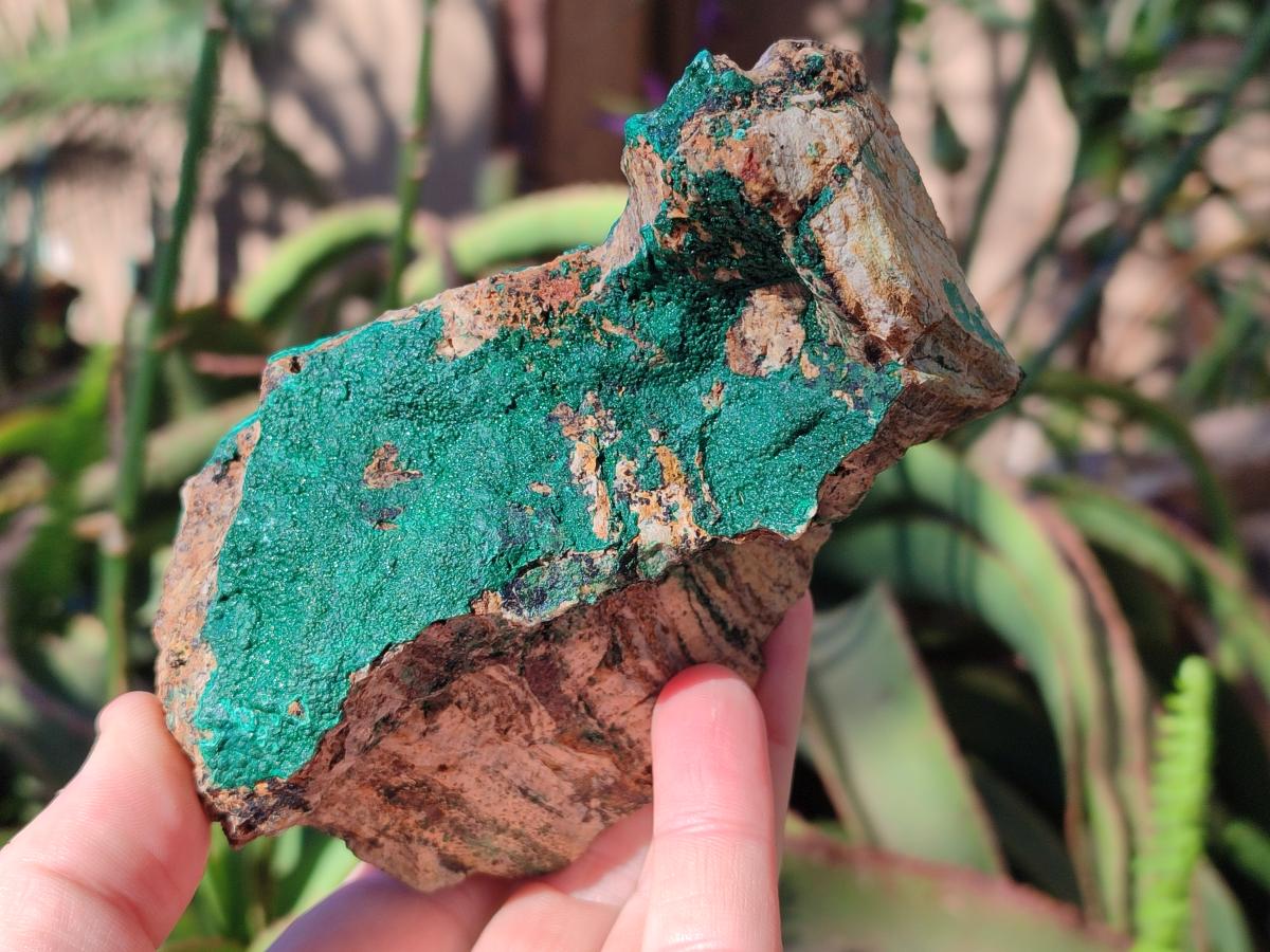 Natural Crystalline Malachite Specimens x 2 From Tenke Fungurume, Congo - Toprock Gemstones and Minerals 
