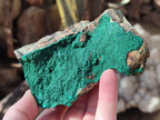Natural Crystalline Malachite Specimens x 2 From Tenke Fungurume, Congo - Toprock Gemstones and Minerals 