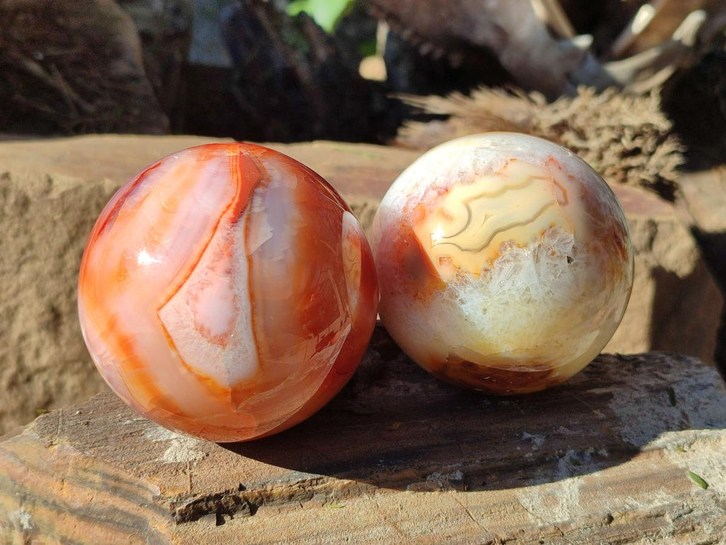 Polished and Natural Carnelian Agate Gemstone Spheres x 4 From Madagascar - Toprock Gemstones and Minerals 