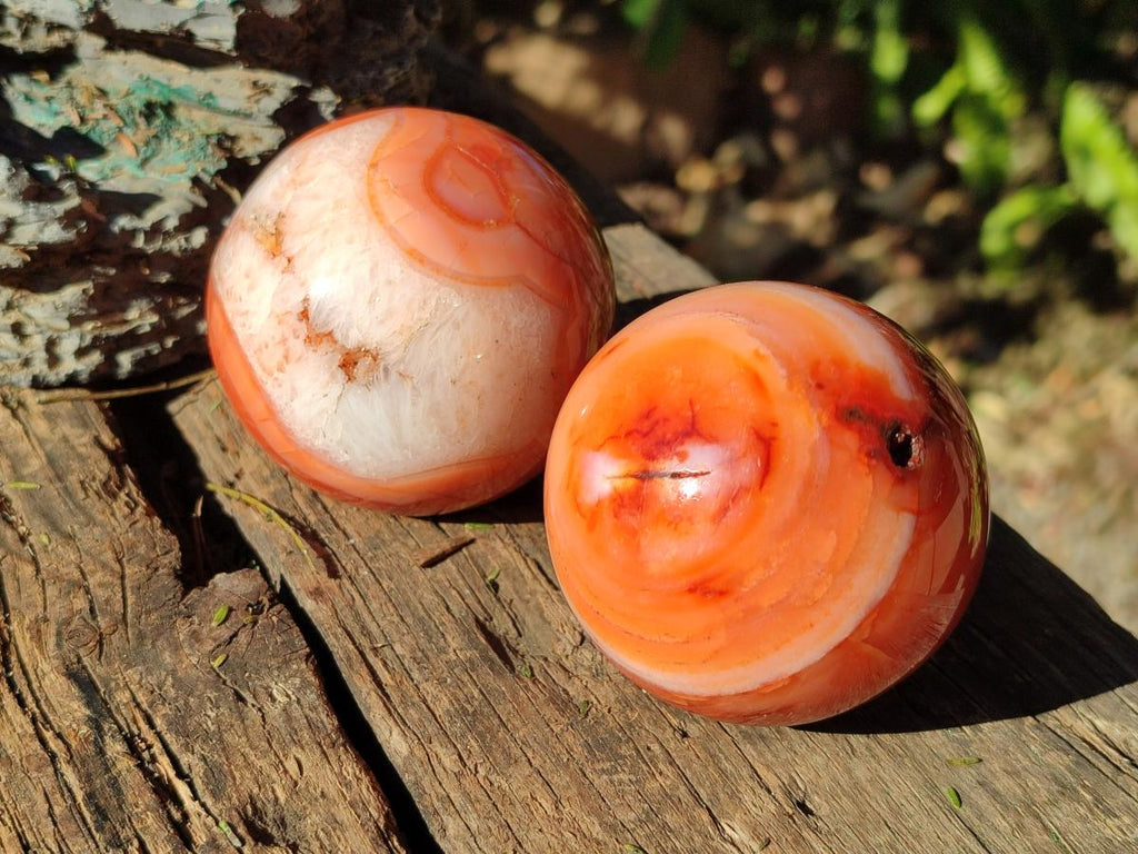 Polished and Natural Carnelian Agate Gemstone Spheres x 4 From Madagascar - Toprock Gemstones and Minerals 