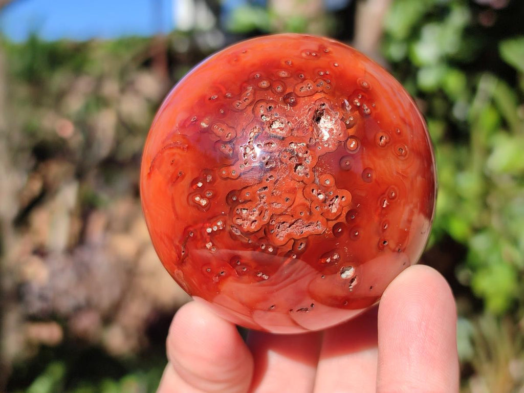 Polished and Natural Carnelian Agate Gemstone Spheres x 4 From Madagascar - Toprock Gemstones and Minerals 