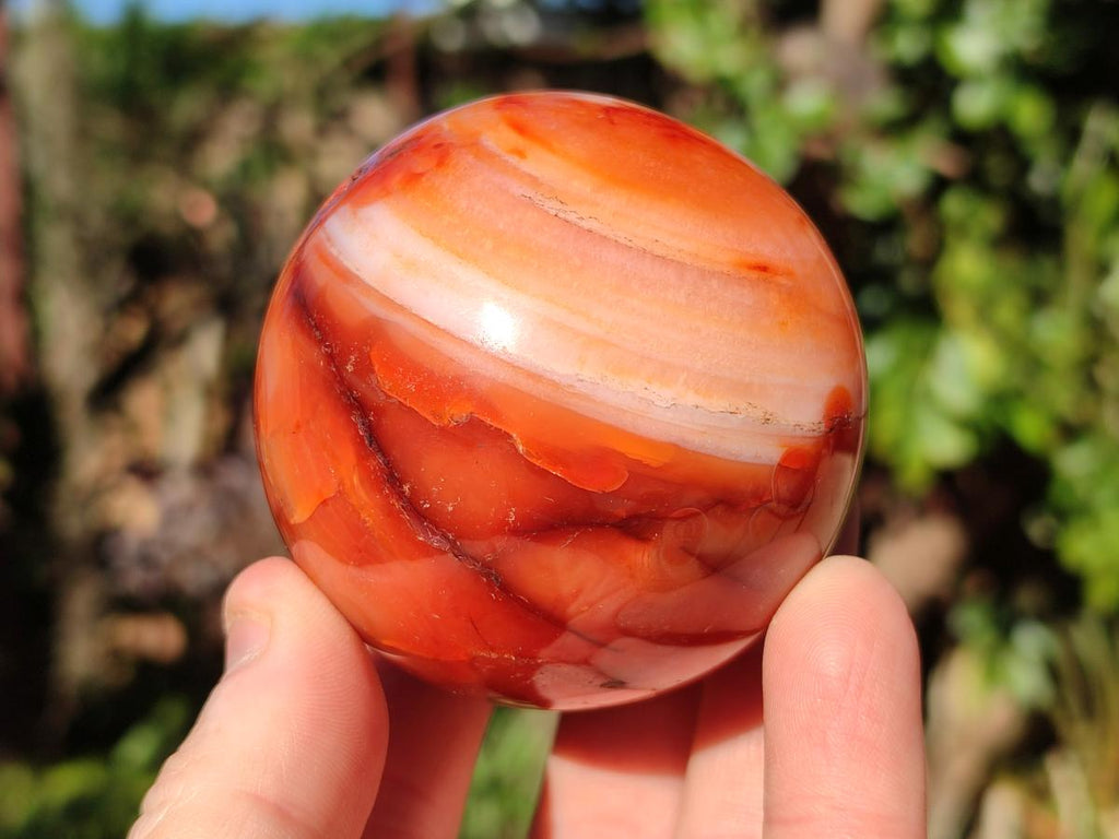 Polished and Natural Carnelian Agate Gemstone Spheres x 4 From Madagascar - Toprock Gemstones and Minerals 