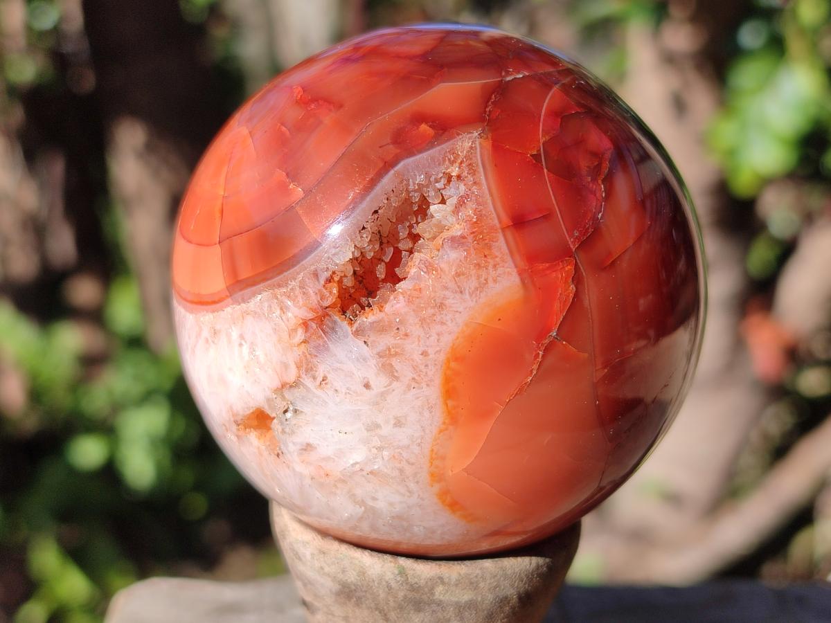 Polished and Natural Carnelian Agate Gemstone Spheres x 4 From Madagascar - Toprock Gemstones and Minerals 